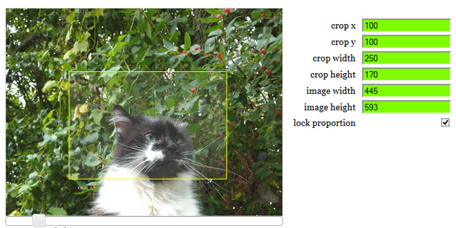 jQuery Resize and Crop (jrac)
